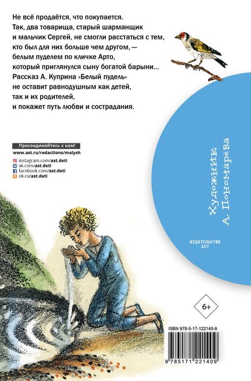 Белый пудель
