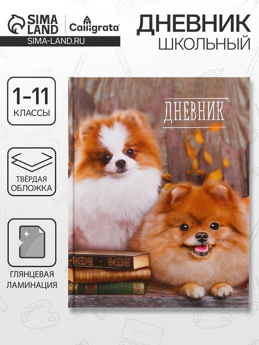 Дневник школьный для 1-11 классов, Шпиц, твёрдая обложка 7БЦ, глянцевая ламинация, 40 листов