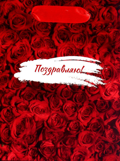 Цена за 2 шт. Пакет подарочный вертикальный Поздравляю, S 12?15?5.5 см