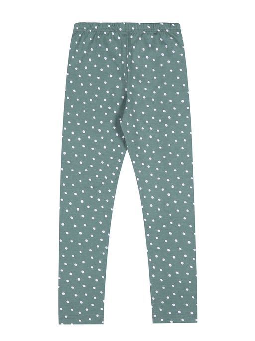 Легинсы 1ДРЛ3848001н