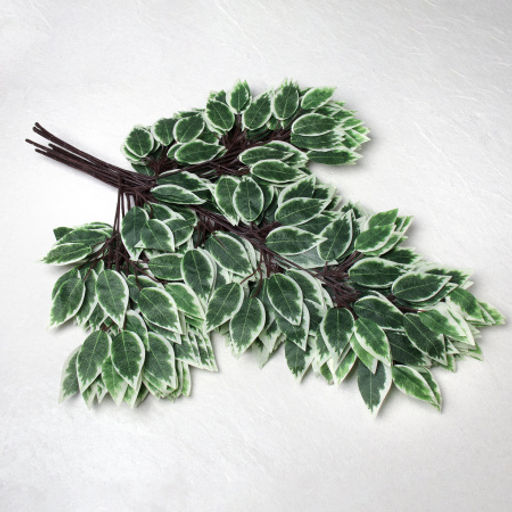 Искусственные листья 12 штук Фикус бело-зеленые / NA77-10 /уп 50/ - Галеонтрейд фото 3