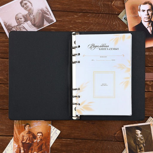 Родословная книга со встроенной флешкой 16 Gb «Книга всей семьи», 17.5×23 см.