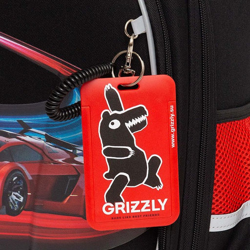 RAz-487-12 Рюкзак школьный - Grizzly фото 30