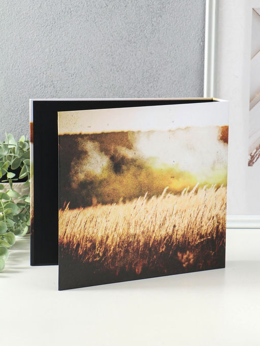 Фотоальбом на кольцах 25 листов «СВО. На память о службе», с уголками, 25×23 см