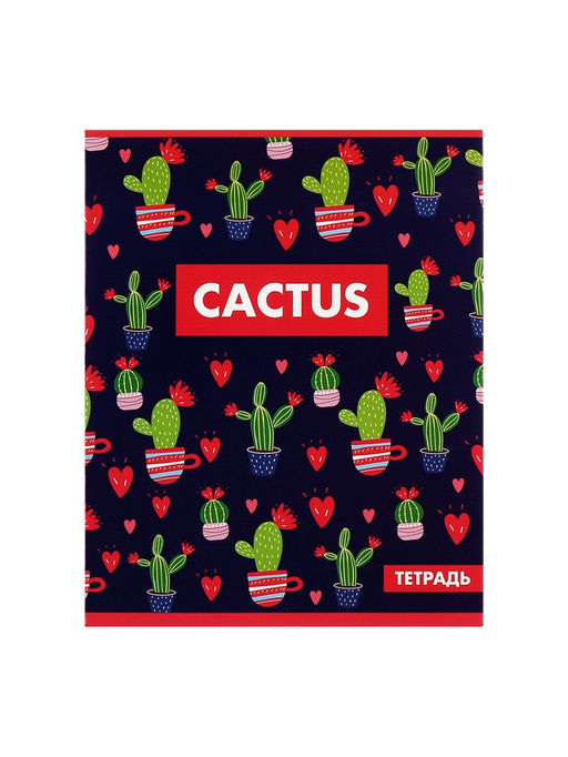 Комплект тетрадей из 5 шт Кактус, 48 листов, в клетку, обложка мелованный картон, блок офсет - Calligrata фото 8