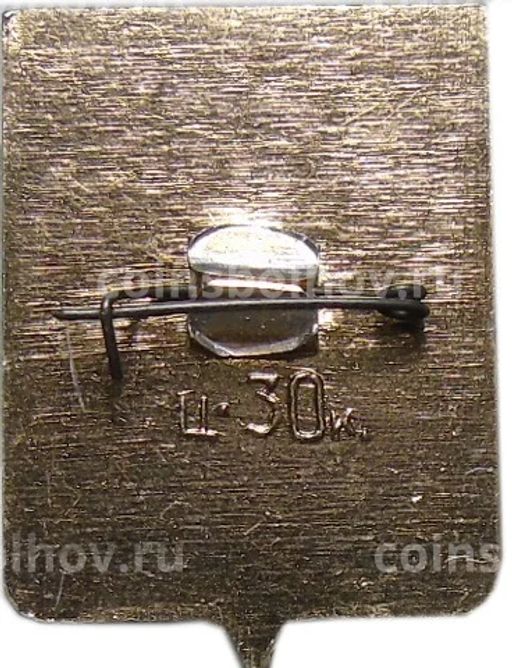 Значок Новосибирск