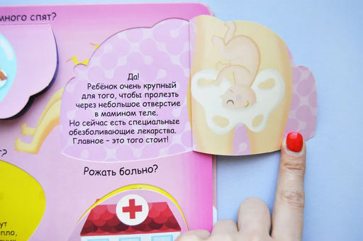 Волшебные окошки. Откуда берутся дети? - Робинс фото 11