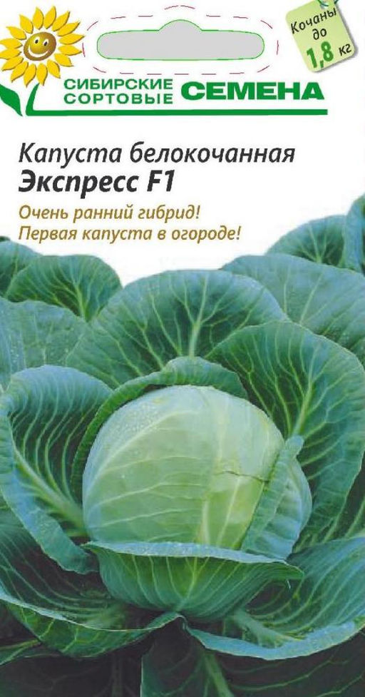 Экспресс F1 б/к капуста 0,5гр ультраскороспелый (ссс) Р