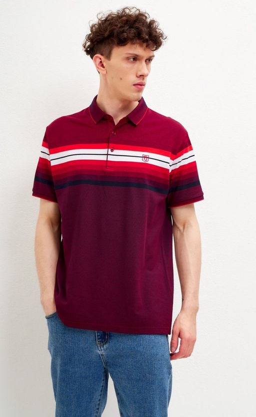 Футболка-поло мужская в полоску F311-07-601 бордовая
