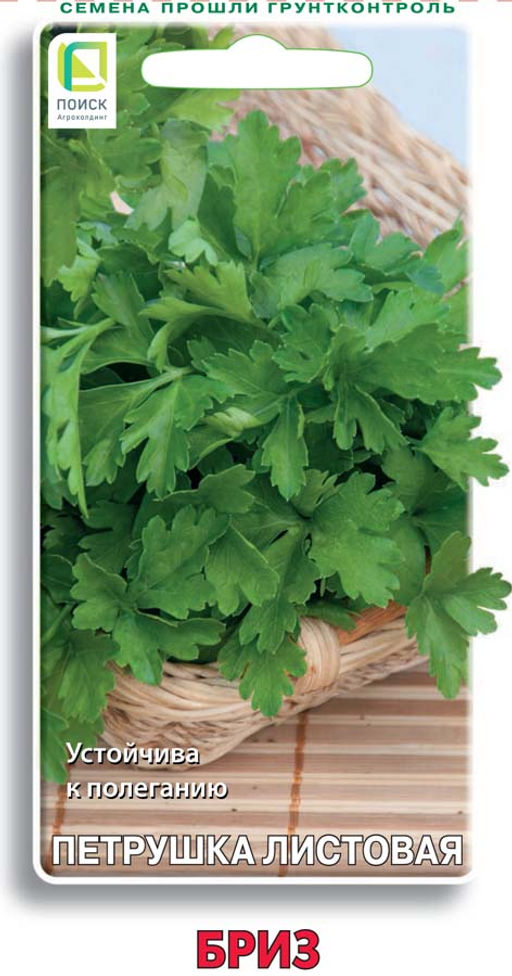 Петрушка Бриз (ЦВ) 3гр. - Поиск фото 2