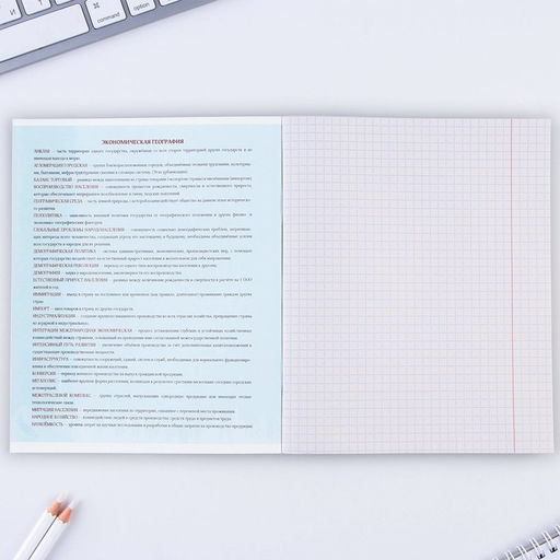 Предметная тетрадь, 48 листов, МИНИМАЛИЗМ, со справочными материалами География, обложка мелованный картон 230 гр., внутренний блок в клетку 80 гр., белизна до 80 %,блок №2. - Artfox study фото 3