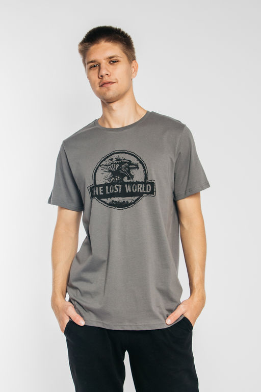 Футболка мужская 54212