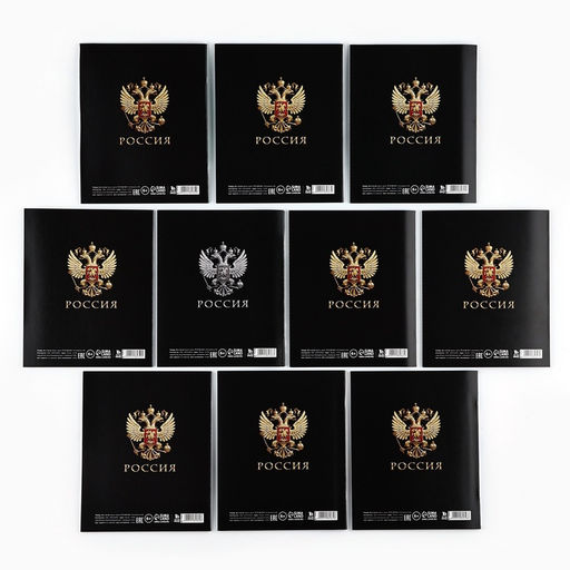 Тетради предметные, 36 л., набор из 10 шт., блок №1 Россия - Artfox study фото 6