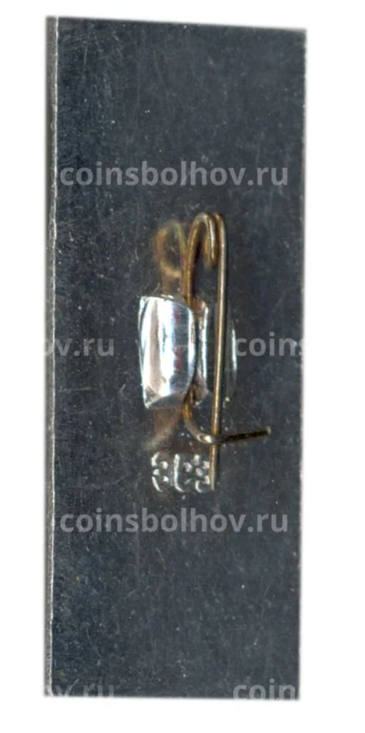 Значок Мудьюг