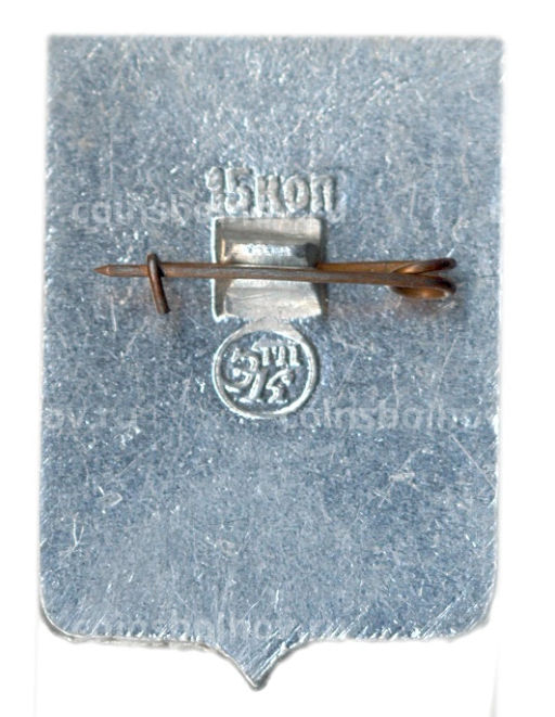 Значок Гвоздевка