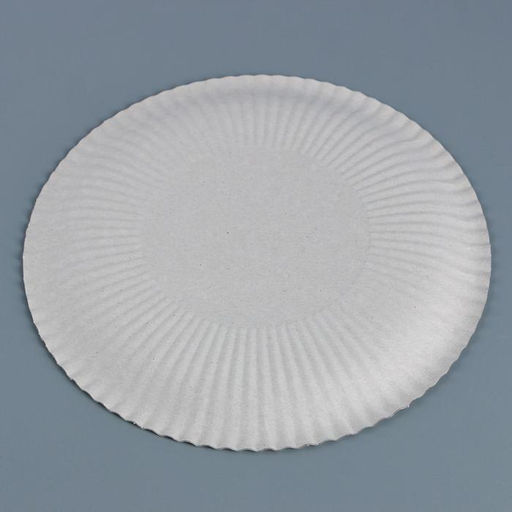 Цена за 100 шт. Тарелка одноразовая бумажная «Белая», d=22.5 см (± 1 см), картон