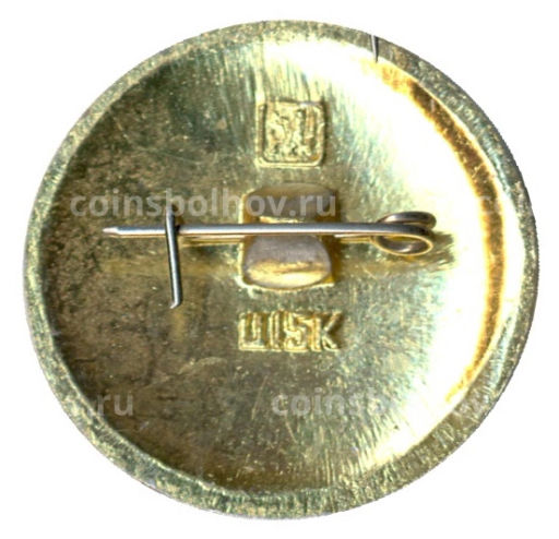 Значок Истра  Воскресенский собор