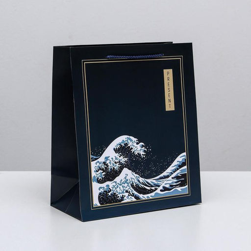 Цена за 2 шт. Пакет подарочный ламинированный, упаковка, «Present», ML 23×27×11.5 см