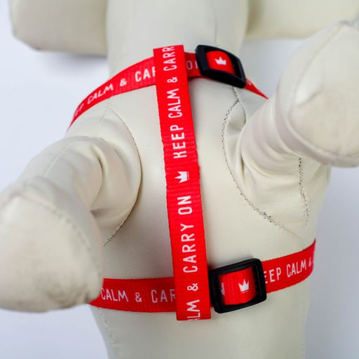 Комплект Keep calm & carry on, шлейка 36-49 см, поводок 120х1,5 см - Пушистое счастье фото 7