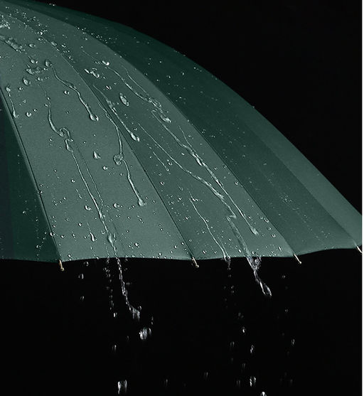 Зонт Umbr-L-605-Olive