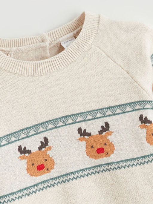 Bisiklet Yaka Erkek Bebek Kazak