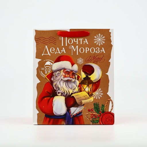 Цена за 2 шт. Пакет подарочный новогодний ламинированный «Почта Деда Мороза», M 26×30×9 см