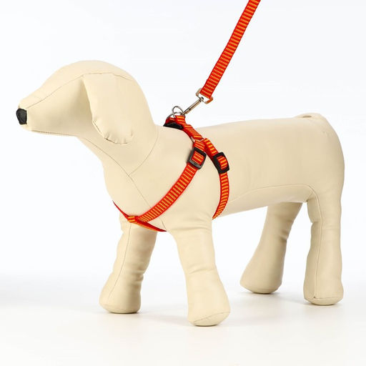 Комплект амуниции рельефный, поводок 120 х 1,5 см, ОГ 36-49 см, красно-жёлтый - Пижон фото 2