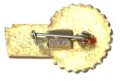 Значок Всероссийское общество изобретателей и рационализаторов (ВОИР)