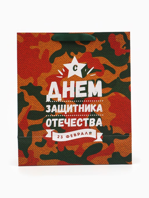 Цена за 2 шт. Пакет подарочный ламинированный вертикальный «23 февраля», 23×27×11.5 см