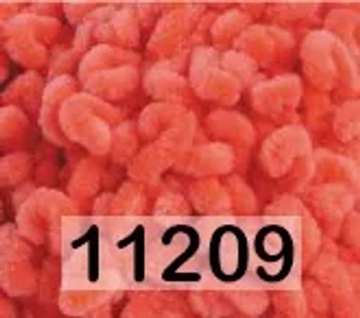 DOLPHIN LOOP HIMALAYA  фото 8