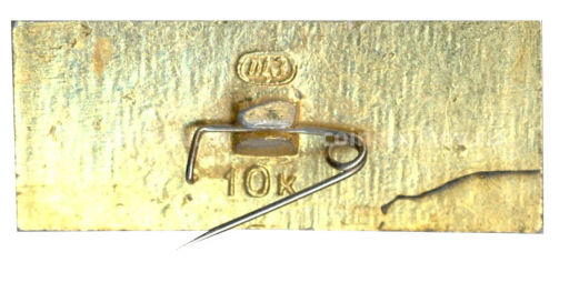 Значок Усадебный дом Абрамцево