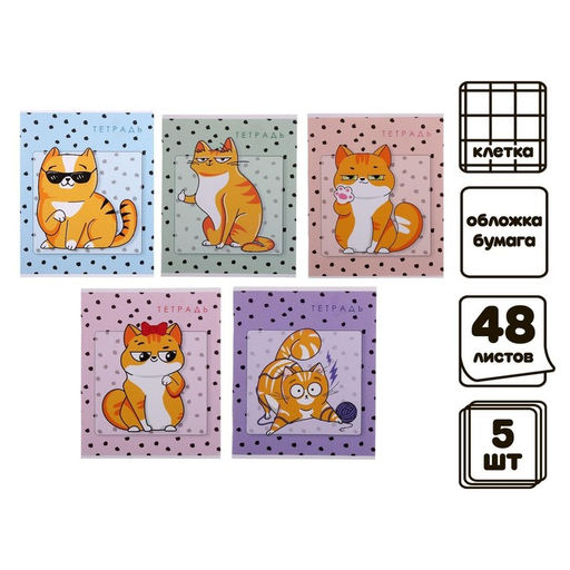 Комплект тетрадей из 5 штук, 48 листов в клетку Calligrata «Коты», обложка мелованный картон, блок офсет