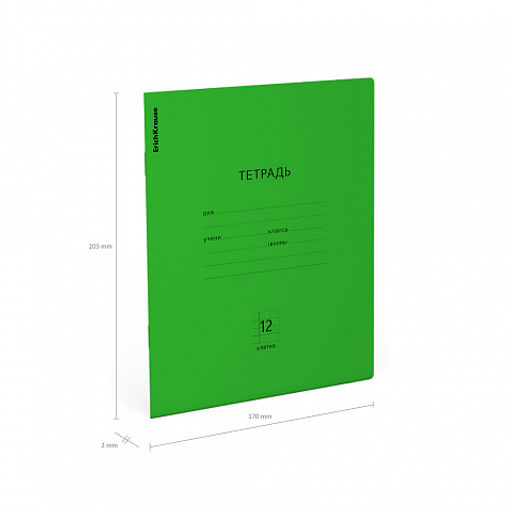 Цена за 10 шт. Тетрадь школьная ученическая ErichKrause Классика Neon зеленая, 12 листов, клетка (в плёнке по 10 штук)  фото 4