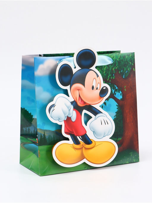 Цена за 2 шт. Пакет подарочный «Мышонок», 22 × 22 × 10 см