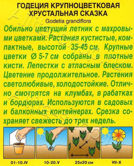 Годеция Хрустальная сказка махровая 0,05г (Аэлита)
