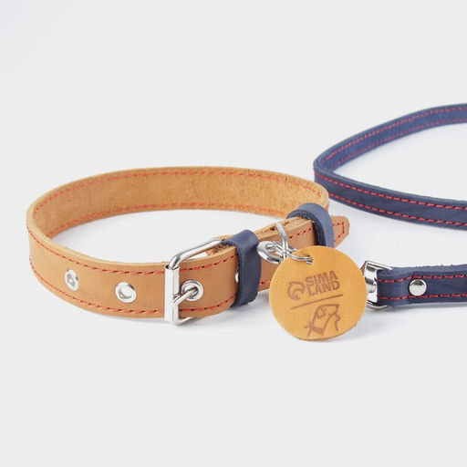 Комплект : ошейник (36-56х2.5 см) и поводок (130х1.5 см), цвет бежевый и синий - Пушистое счастье фото 6