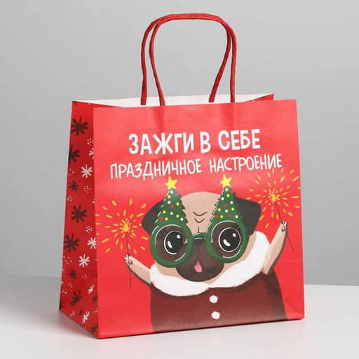 Пакет подарочный новогодний «Зажги в себе», 22 х 22 х 11 см
