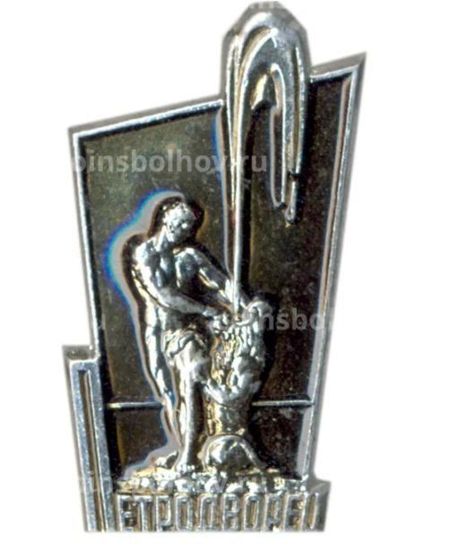 Значок Петродворец