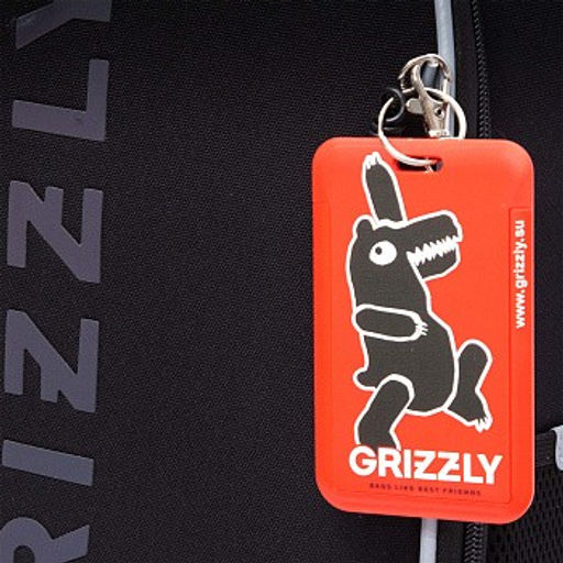 RAw-595-2 Рюкзак школьный - Grizzly фото 8