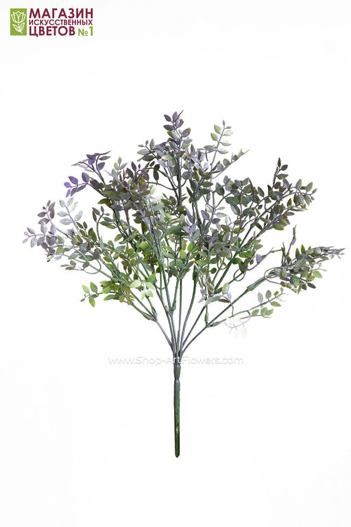 103 Листья фисташки, куст - Без тм фото 9