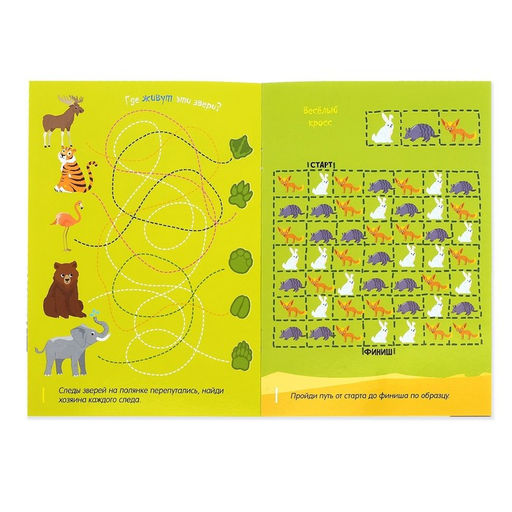 Книга с маркером «Напиши и сотри. Лабиринты и путаницы», 12 стр., многоразовая