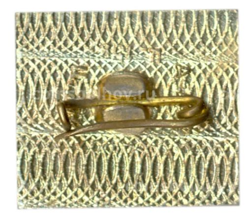 Значок Капчагай