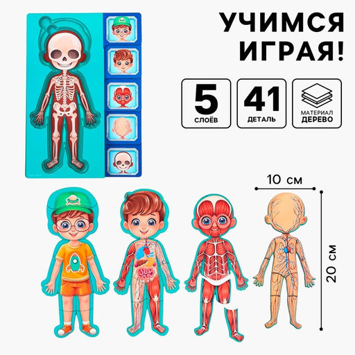Обучающий набор Тело человека, рамка-вкладка и книга с наклейками - Лесная мастерская фото 2
