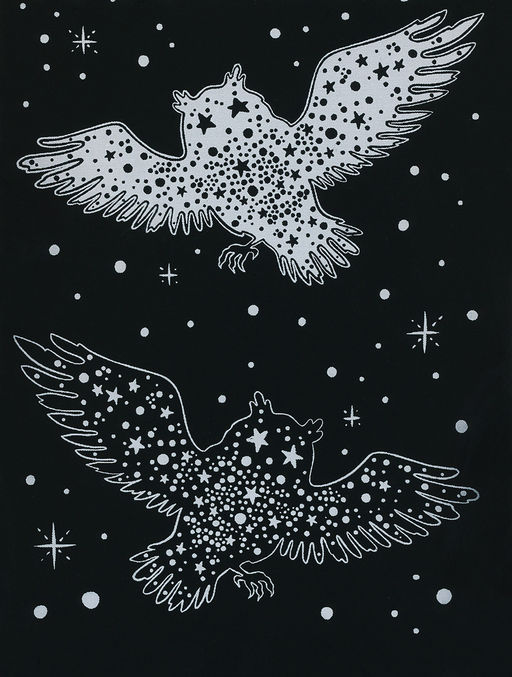 Hobbius GHPS-04 Набор для творчества Гравюра-блокнот 10 x 14 см Космические животные  фото 12