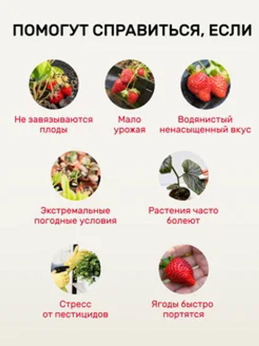 Удобряй! Биомолекулы для рассады, 400 мл - Люби, Выращивай! фото 12