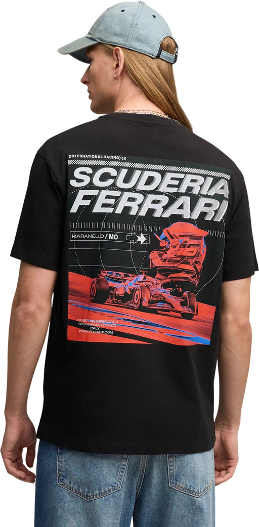 Футболка мужская