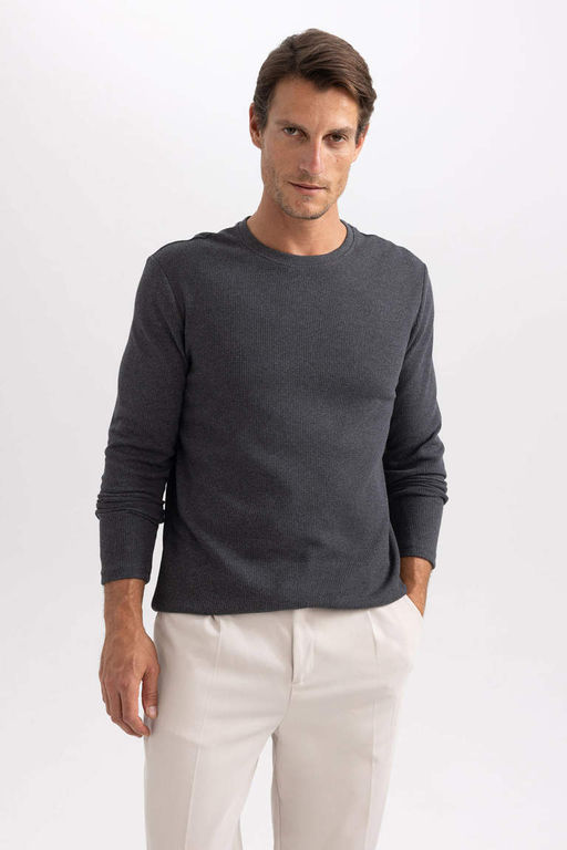 Футболка стандартного кроя с круглым вырезом и длинными рукавами