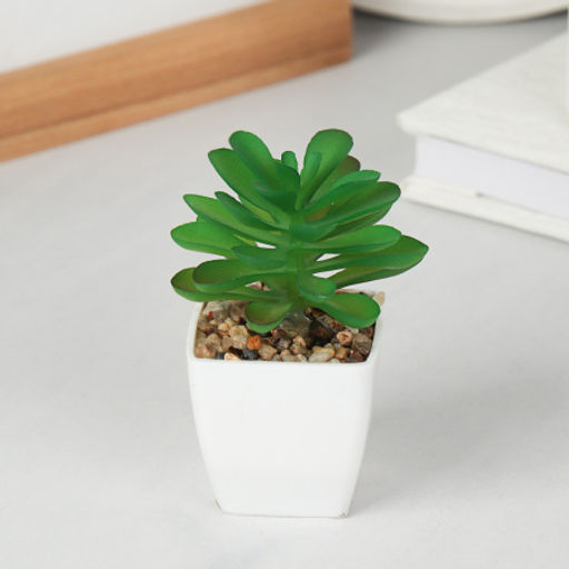 Цветочная композиция Кактус / WER-19 /уп 12/192/ микс - Галеонтрейд фото 10