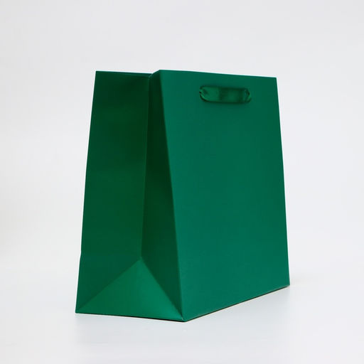 Цена за 2 шт. Пакет подарочный ламинированный горизонтальный «Изумрудный», ML 27×23×11.5 см