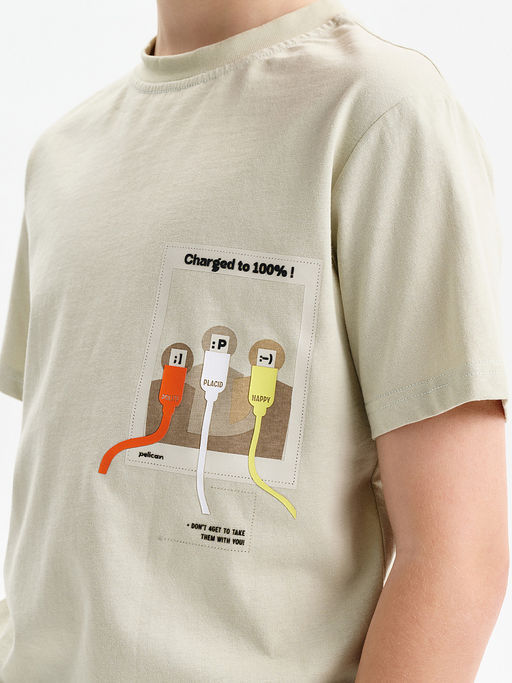 PELICAN, футболка для мальчиков, Серый  фото 2